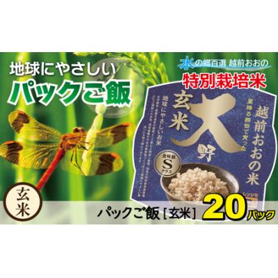 ふるさと納税 大野市 地球にやさしいパックご飯 20食入り【玄米】　減農薬・減化学肥料 「特別栽培米」-地球にやさしいお米