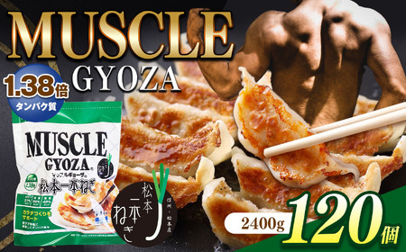 MUSCLE GYOZA ～ マッスルギョーザ ～ 松本一本ねぎ 3パックセット