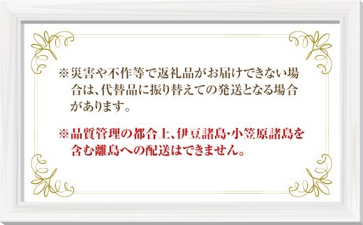 【先行予約】 上村農園 （ハウス） シャインマスカット 2～4房