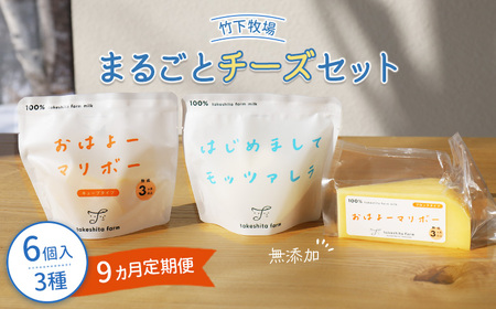竹下牧場 takeshita farm【定期便9ヶ月】まるごとチーズセット 計560g【24024】