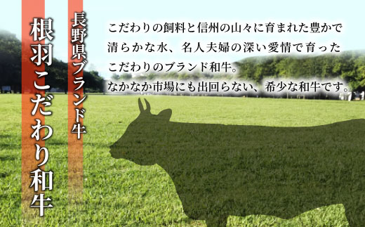 国産黒毛和牛 根羽こだわり和牛 ロースステーキ用(サーロイン・リブロース)600ｇ（200g×3枚）牛肉 ステーキ 霜降り