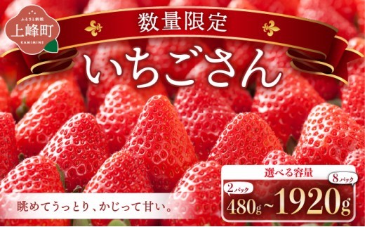 
                  ☆赤い宝石☆佐賀県産いちごさん 【選べる容量】240g×8P (計1920g)  240g_4P (計960g)  240g×2P(計480g)【数量限定】
                