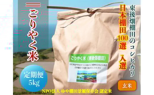 【予約受付】令和7年度産 ごりやく米 東後畑棚田こしひかり 玄米 5kg 定期便 年6回 隔月配送 棚田米 長門市 コシヒカリ こしひかり 発送9月下旬から