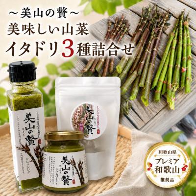 ふるさと納税 日高川町 【美山の贅】イタドリ3種詰合せセット