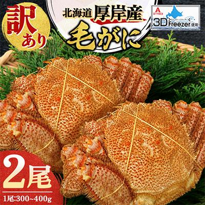 ふるさと納税 厚岸町 【訳あり】3D冷凍毛がに300〜400g×2尾
