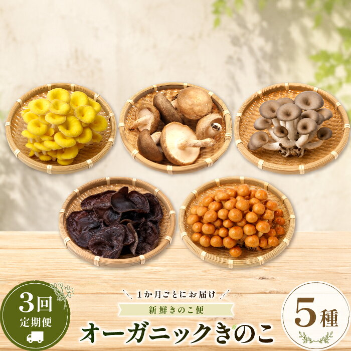 【ふるさと納税】【3回定期便】オーガニックきのこ 5種 定期便　TH01