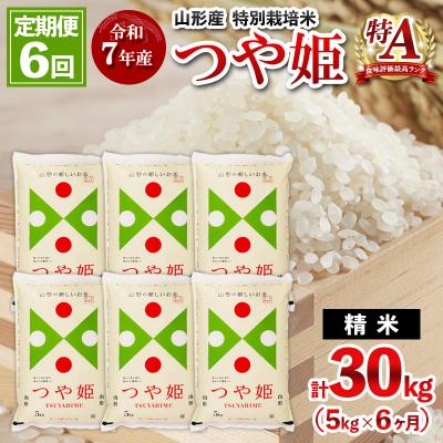 ふるさと納税 山形市 【定期便6回】令和7年産 山形産 特別栽培米 つや姫 5kg×6ヶ月(計30kg)FY25-487