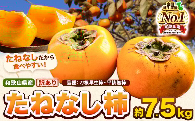 
            和歌山県産 訳あり たねなし柿（刀根早生柿・平核無柿）約7.5kg 《2025年9月中旬-11月上旬頃出荷(土日祝除く)》 和歌山県 岩出市 訳あり ご家庭用 種なし柿 柿 果物 フルーツ カキ st-p
          