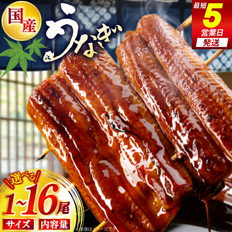 【ふるさと納税】 うなぎ 国産 蒲焼 選べる 1尾〜16尾 中大サイズ 単発 定期便 日向うなぎ [日向サンパーク 宮崎県 日向市 452061646] ふるさと納税 土用 丑の日 土用の丑の日 蒲焼き 長焼き ウナギ 鰻 冷凍 化粧箱入り ギフト鰻楽 unagi