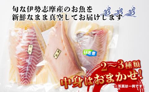 （冷蔵）伊勢志摩産　朝どれ　２～３種（約800ｇ）　お刺身用　おまかせセット／城水産　鯛　鰤　たい　ブリ　新鮮　真空　海の幸　三重県　南伊勢町