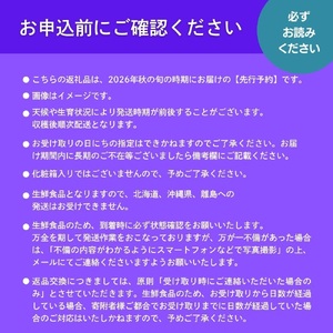 ＜2026年発送分 先行予約＞ピオーネ 1.2kg以上（2?3房）025-a022
