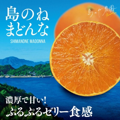 【島のね農園ブランド】先行受付 島のねまどんな(4kg) 【K001620】【1474797】