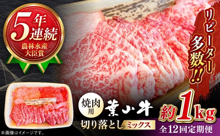 
            【全12回定期便】【葉山牛】1kg　焼肉用ミックス（ロース、モモ、カルビ等 4種類 ) ／ 牛肉 黒毛和牛 神奈川県 特産品【葉山牛ステーキレストラン 角車】 [ASBD036]
          
