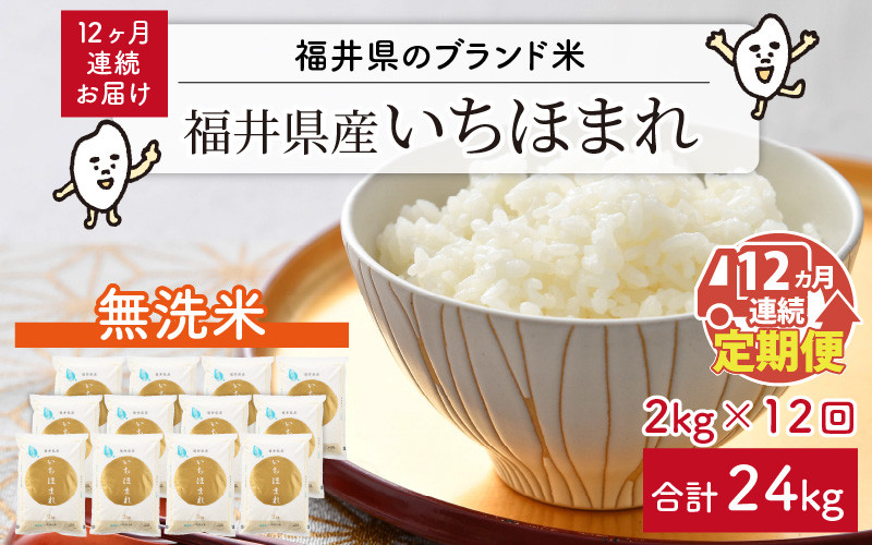 【令和8年産】定期便 ≪12ヶ月連続お届け≫ 福井県のブランド米 いちほまれ 無洗米 2kg × 12回 計24kg 【 無洗米 人気 品種 ブランド米 特A 】 [I-6106]