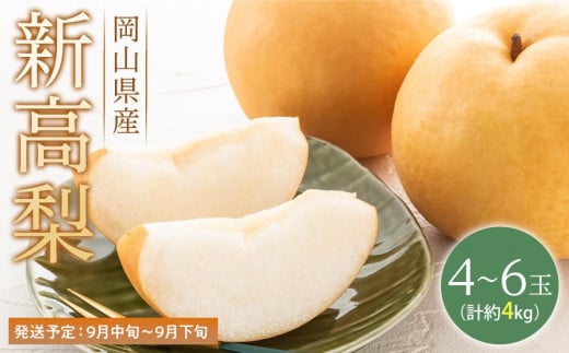 梨 2026年  新高梨 青秀以上 4～6玉 約4kg  なし ナシ 岡山県産 国産 フルーツ 果物 ギフト