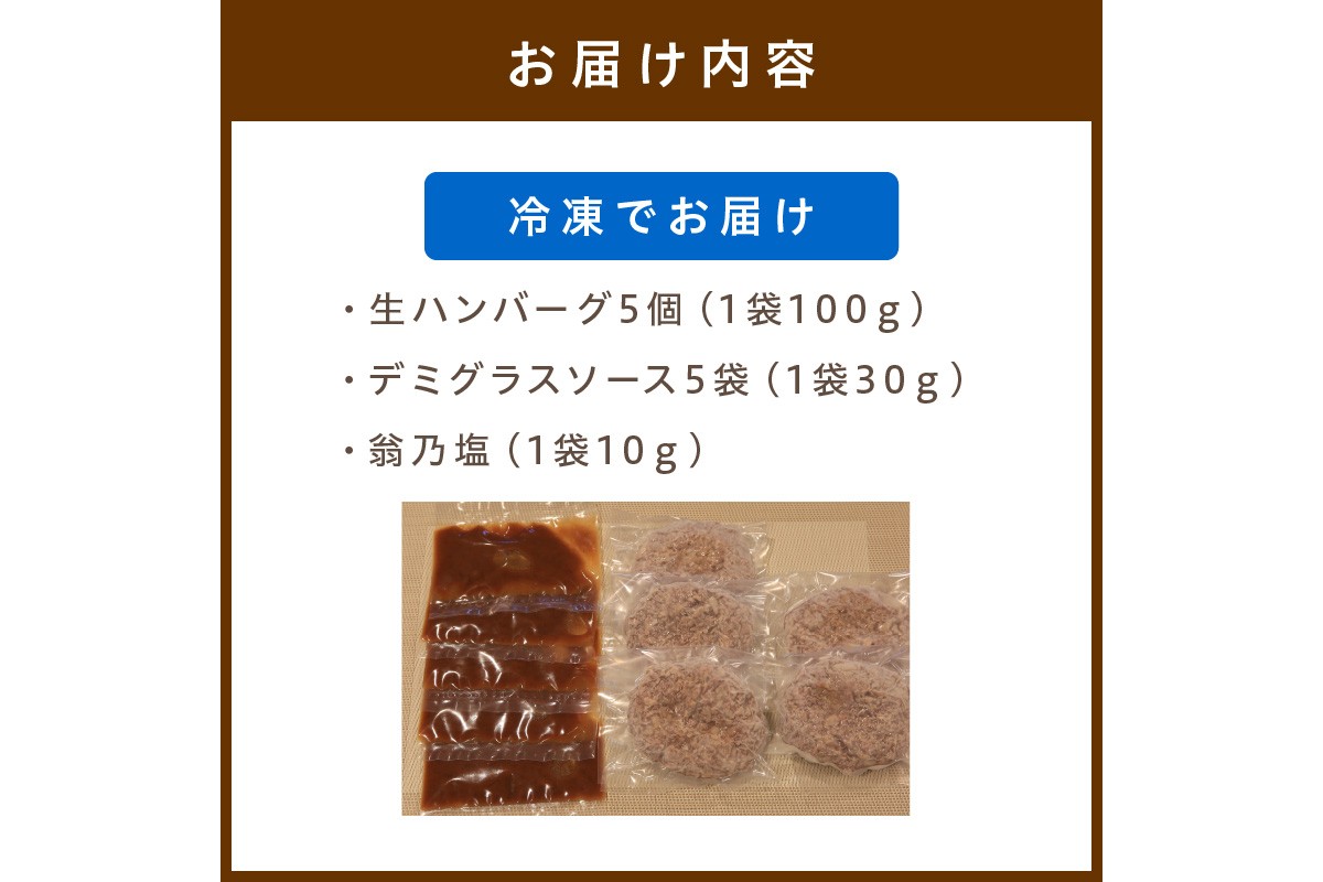 塩で食べるやわらかハンバーグ（デミグラスソース付）　国産 牛肉 はんばーぐ　NH00040