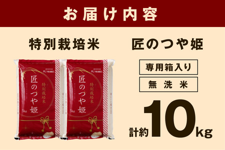 【令和５年産】無洗米 特別栽培米「匠のつや姫」 5kg×2袋 米 白米 精米 無洗米 特別栽培米 つや姫 合計 10kg 10キロ 【1801】