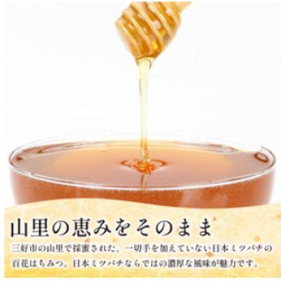 ふるさと納税 三好市 《1kg》山里の和蜜(百花蜜)|日本みつばち |  | 01