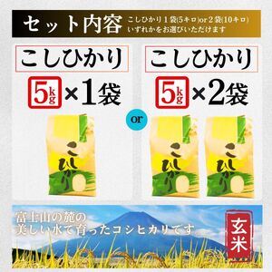 コシヒカリ【玄米】 5キロ 1袋 / 国産 こしひかり  5キロ 令和7年産 米 お米 保存袋 生活必需品 ギフト 贈り物 お歳暮 ふるさと納税 送料無料【n0668-05_gou】