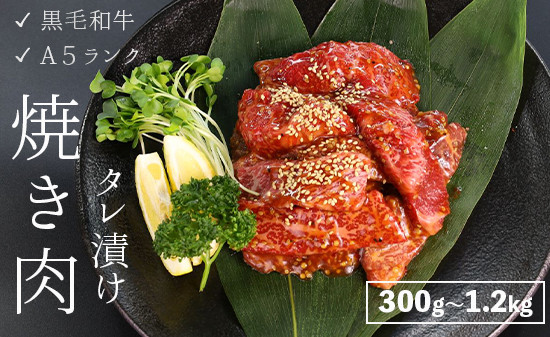 
厳選 国産 黒毛和牛 A5 タレ漬け 焼肉用 モモ バラ 300g～1.2kg 10,000～36,000円 牛肉 熨斗 贈答 熨斗 御歳暮 お歳暮 ギフト 味付け肉 牛 モモ肉 バラ肉 焼き肉 精肉店 BBQ 冷凍
