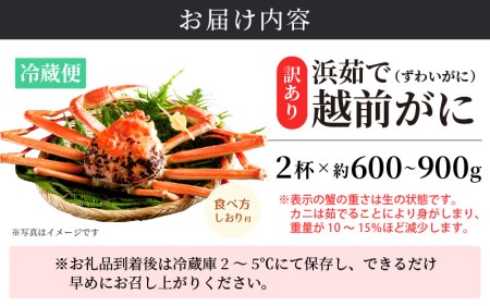 【訳あり】越前がに本場の越前町からお届け！越前がに600g～900g前後×2杯（※生重量）【かに カニ 蟹】【3月発送】 [e14-x004_03] 浜茹で 食べ方しおり付 福井県 雄 ズワイガニ ボ