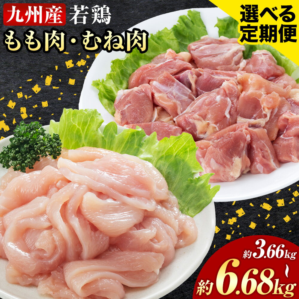 【ふるさと納税】選べる 定期便 九州産若鶏もも肉（310g 6袋 または 8袋）・むね肉（600g 3袋または 7袋）セット 鶏肉 お肉 モモ肉 もも肉 ムネ肉 むね肉 2種類 小分け 冷凍 九州産 国産 熊本県 菊池市 送料無料《お申し込みの翌月から出荷》