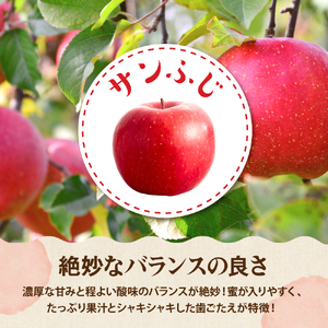 【2026年産】りんご サンふじ 3kg 秀品 化粧箱入 りんご