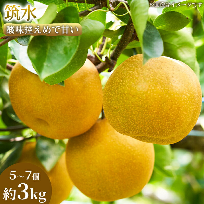【ふるさと納税】【酸味控えめで甘い】果汁あふれる熊本県産 筑水 5～7個(約3kg) 1箱 筑水 梨 フルーツ 甘い 濃厚 農家直送 ギフト 贈答用 家庭用 お取り寄せ 熊本県　お届け：2026年8月1日～2026年8月10日