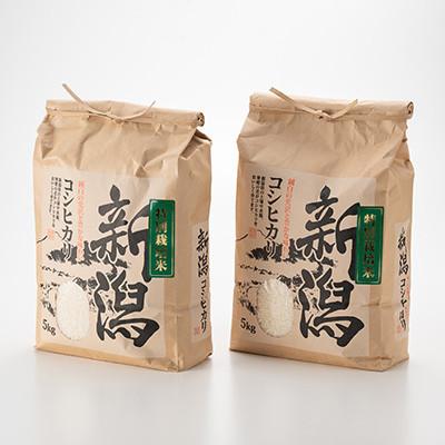 ふるさと納税 五泉市 【先行受付】令和8年産新潟県五泉市産　コシヒカリ　10kg(5kg×2袋)　精米 |  | 01