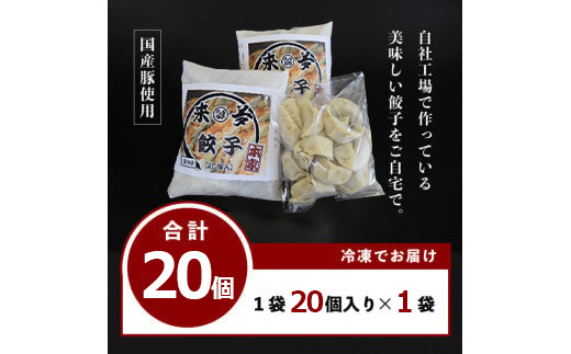 喜多方ラーメン来夢　自家製冷凍餃子　20個入り　【07208-0793】