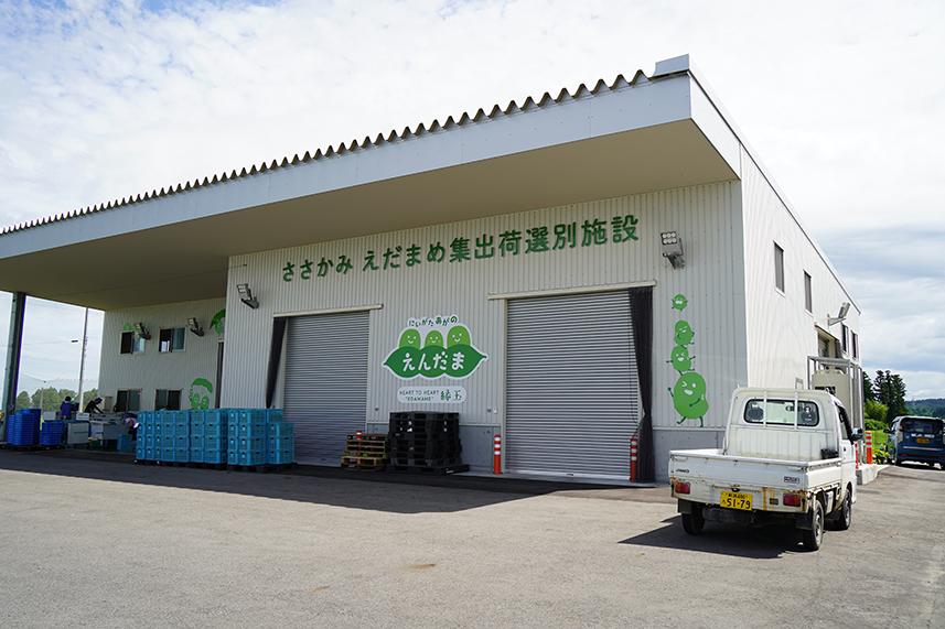阿賀野市産えだまめ 「えんだま」 2kg 2P03012