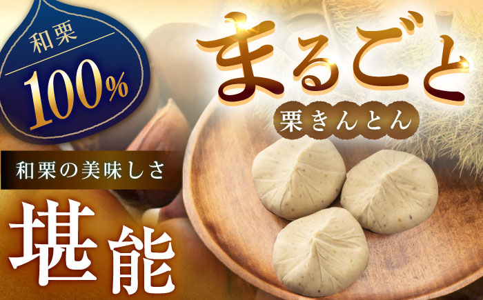 栗きんとん水まんじゅう6個 / 栗 くり 栗きんとん くりきんとん 水まんじゅう 水饅頭 まんじゅう 饅頭 / 恵那市 / 良平堂 [AUDB008]