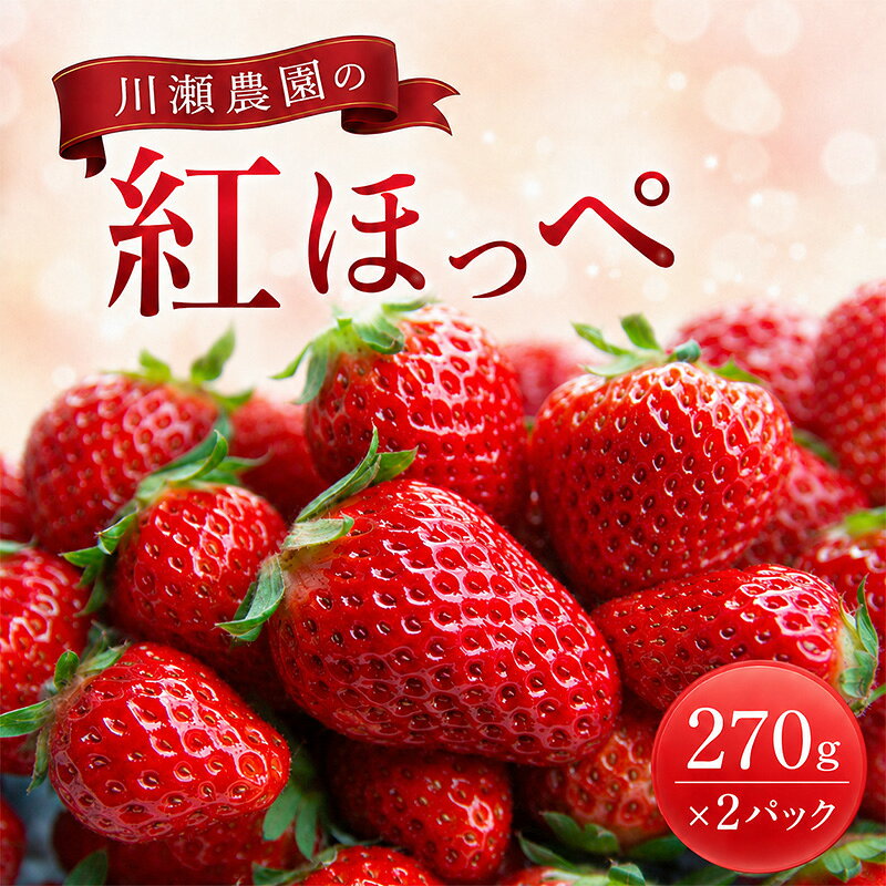 【ふるさと納税】川瀬農園の紅ほっぺ　2パック　お届け：2027年1月下旬より出荷