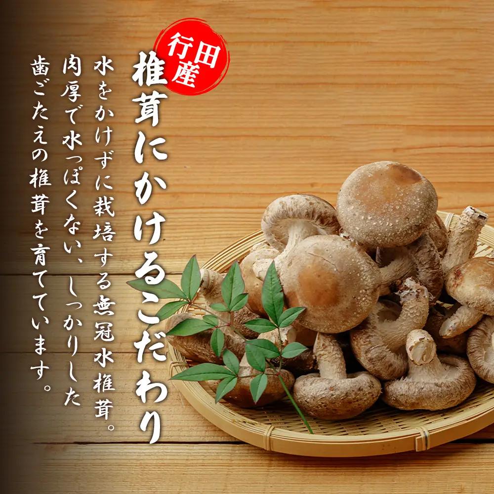 行田産こだわり生椎茸 約900g No.135
