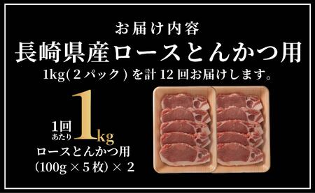 《定期便》長崎県産豚 ロースとんかつ用計1kg(100g×5枚×2) 【12回お届け】