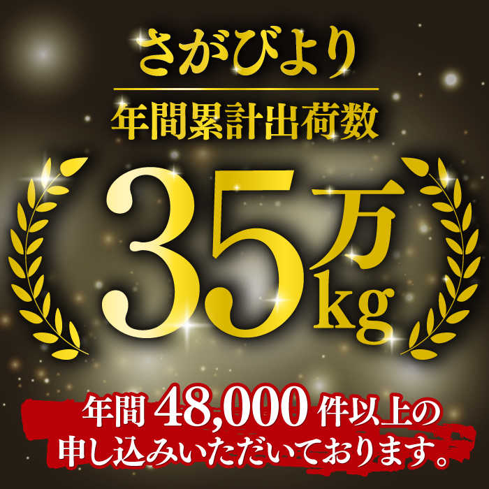 【新米 令和7年産】さがびより 10kg（5kg×2袋） 吉野ヶ里町/増田米穀 [FBM018]