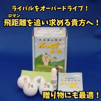 ふるさと納税 丹波篠山市 丹波篠山市限定　非公認高反発ぶっとびゴルフボール4個+飛距離アップクリーナー「飛び〜ナー」のセット