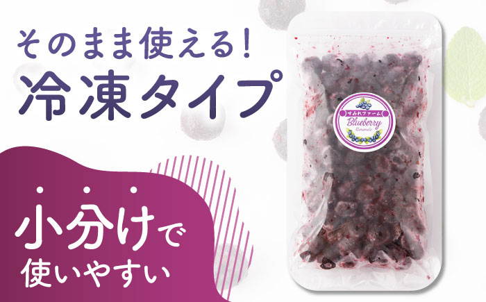 【12回定期便】大粒 冷凍ブルーベリー 約1000g（約500g×2pc） 【すみれファーム】 [ZEP012]