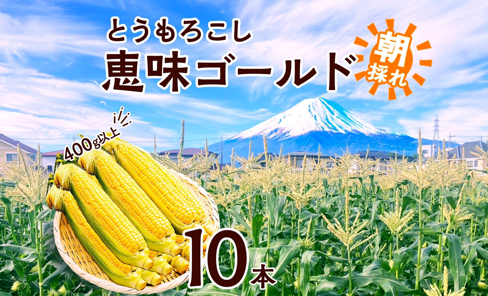 
            とうもろこし 恵味 ゴールド 400g以上×10本 計4kg以上 高糖度 トウモロコシ スイートコーン 玉蜀黍 イエローコーン 黄 夏野菜 甘い ジューシー 野菜 おやつ 旬 産地直送 送料無料 湖南野菜出荷組合 山梨県 富士河口湖町
          
