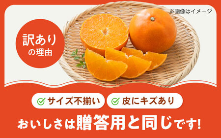 みかん 訳あり 愛果28号 約3kg フルーツ 果物 みかん 訳あり BJAZ002