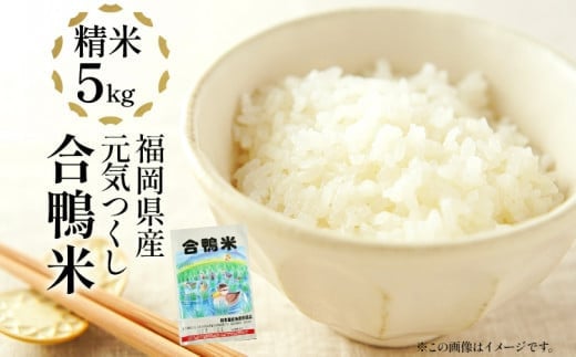 
            令和7年産 新米予約 合鴨米「元気つくし」（精米・5kg）数量限定 BI08
          
