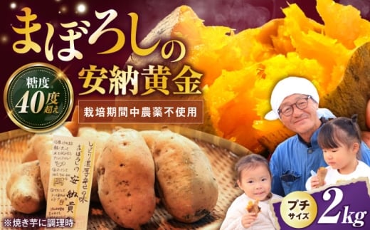 【熟成】プチサイズ安納黄金 2kg 滋賀県長浜市/好作豊吉 [AQCF003]