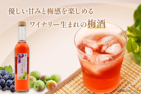 梅酒 やや甘口 アジロン梅酒 500ml 酒 リキュール 梅酒