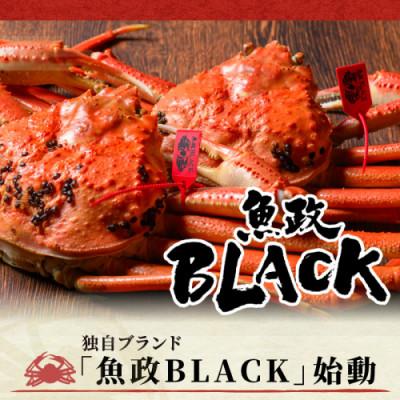 ふるさと納税 京丹後市 【魚屋から直送】訳あり茹でプレミアムズワイガニ 魚政BLACK中サイズ2匹(11月〜12月発送予定) |  | 01