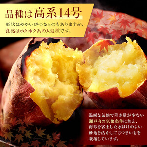 ＜2026年8月下旬以降発送・先行予約＞【訳あり】坂出金時いも　約5kg×2箱　2L～Mサイズ | さつまいも サツマイモ