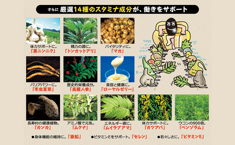 DHC醗酵黒セサミン+スタミナ30日分 2個(60日分)セット