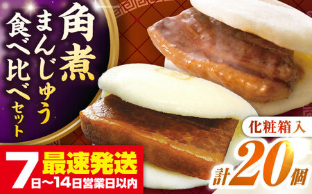 長崎角煮まんじゅう10個(箱)・大とろ角煮まんじゅう10個(箱)《壱岐市》【岩崎本舗】冷凍 豚 豚角煮 角煮饅頭 簡単調理 お取り寄せ[JHA001]