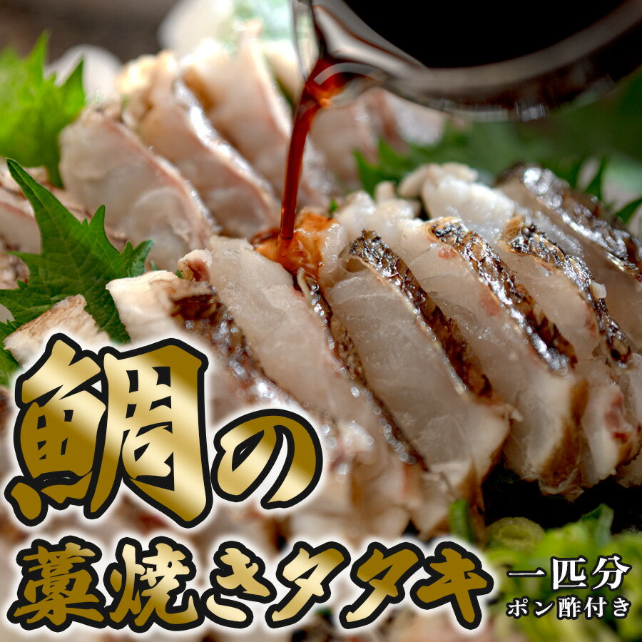 【ふるさと納税】鯛の藁焼きタタキ(1匹分)