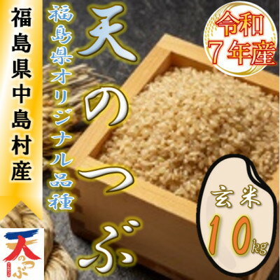 【ふるさと納税】【数量限定/令和7年産】中島村産『天のつぶ』(玄米)10kg【1633144】