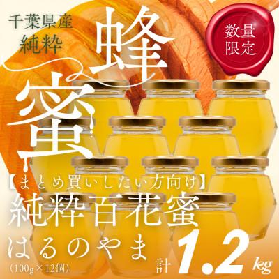ふるさと納税 大網白里市 千葉県産純粋はちみつ「はるのやま」(百花蜜)【計1.2kg】100g×12個